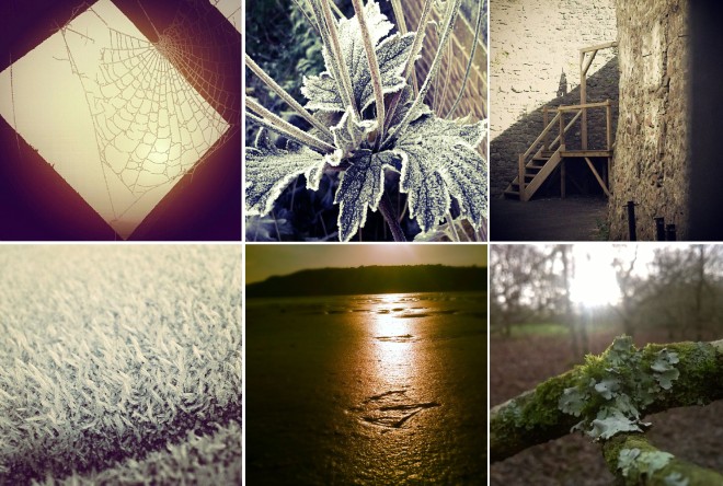 web-frost-gallows-ice-sand-lichen-detail-observer-the-last-krystallos