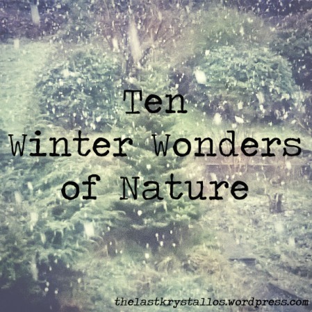 Ten Winter Wonders of Nature | The Last Krystallos