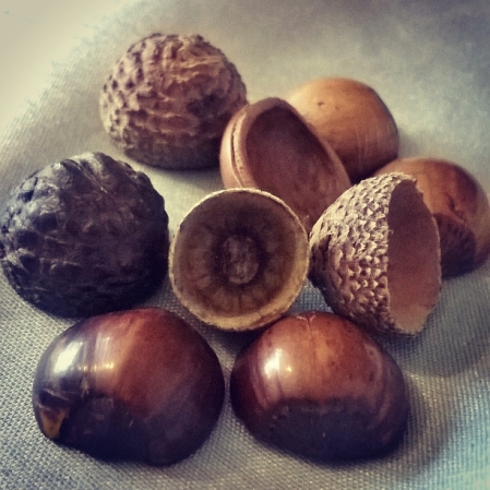talisman, totem and stim - acorn cups and hazelnuts - The Last Krystallos