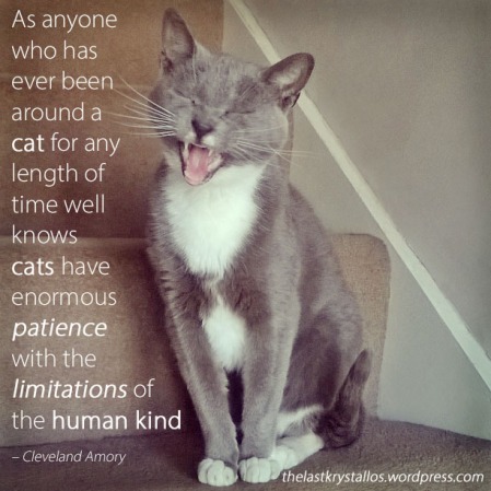 Anyone around a cat...patience with the limitations of the human - Cleveland Amory - The Last Krystallos