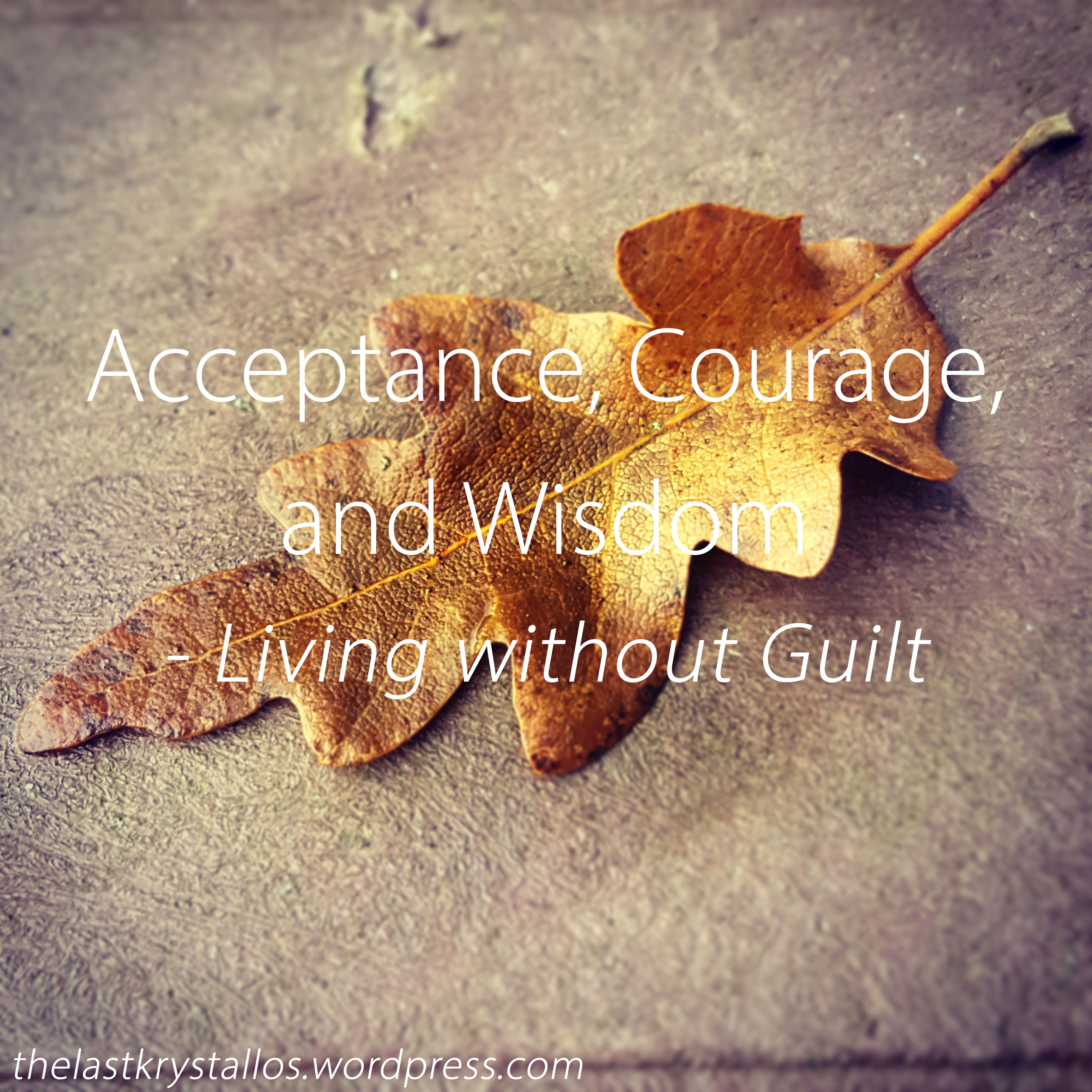 Acceptance, Courage, and Wisdom - Living without Guilt - The Last Krystallos
