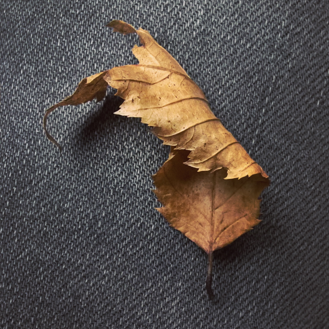 Dried Dead Leaf - The last Krystallos