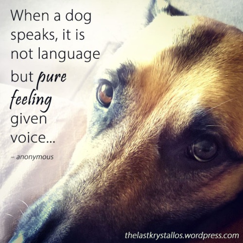 When a dog speaks, it is not language but pure feeling given voice – anonymous - The Last Krystallos