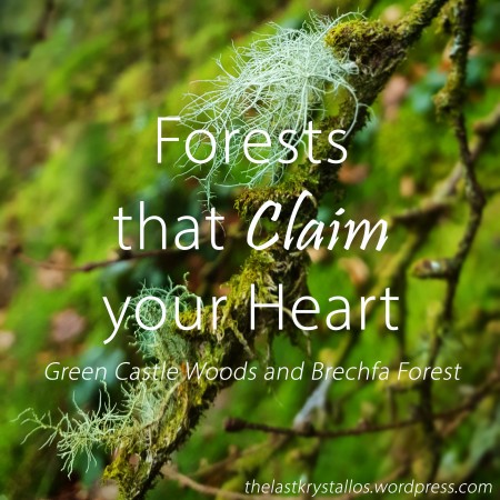Forests that claim your Heart - The Last Krystallos