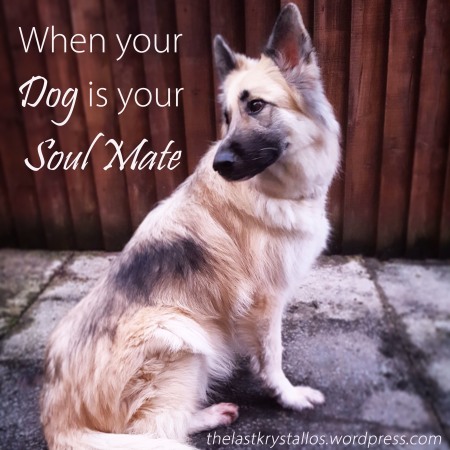 When Your Dog Is Your Soul Mate - The Last Krystallos